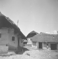 eika image
